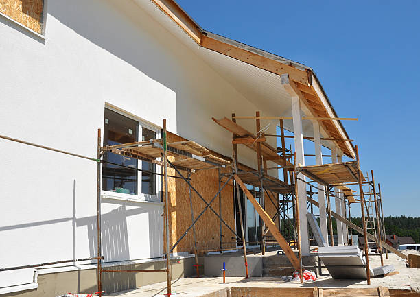 Professional Mold Removal in Milton, FL